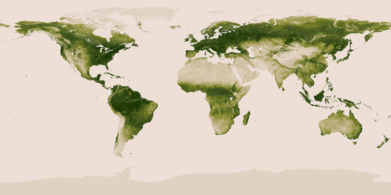 world map of vegetation on earth