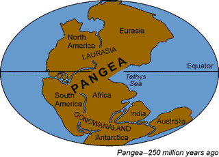 Pangea Gif